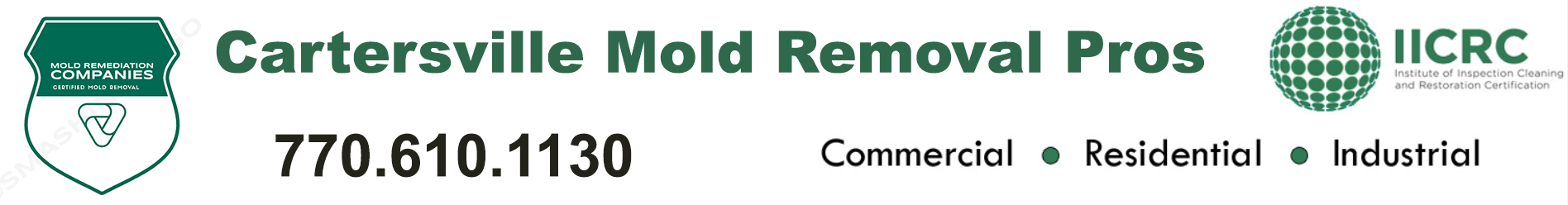 Cartersville Mold Removal Pros